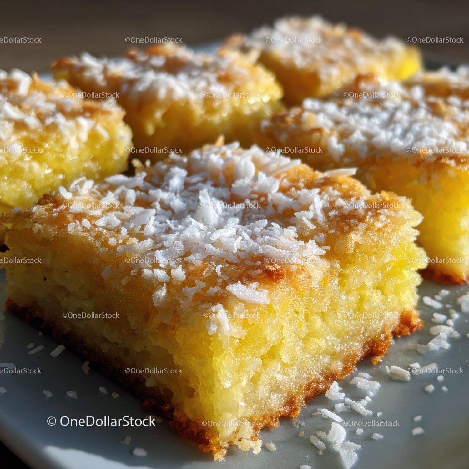 Delicious Custard Squares with Coconut Topping for Dessert