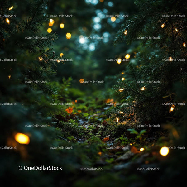 Cozy forest path lit by warm fairy lights