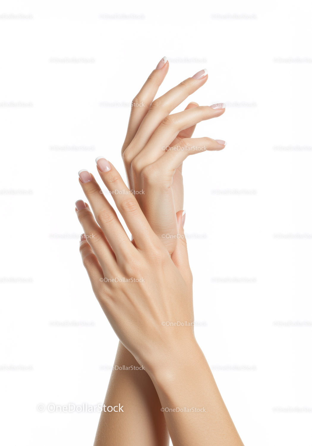 Eleganckie dłonie kobiety z naturalnym francuskim manicure