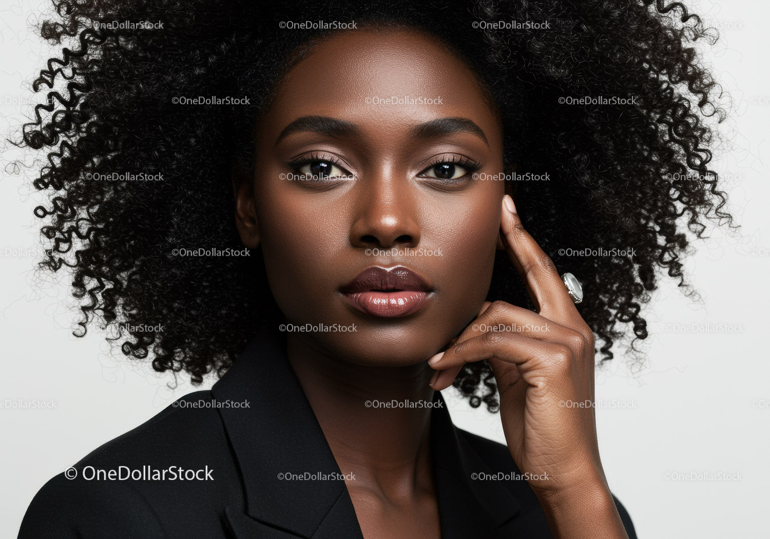 Elegant African American Woman with Curly Hair and Beautiful Makeup