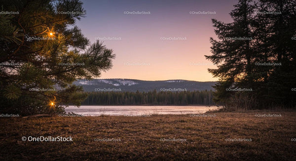Calm Lakeside View at Twilight with Pine Trees
