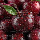 Juicy Ripe Cherries Covered in Dew with Droplets in Natural Light