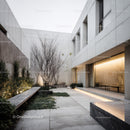 Contemporary Minimalist Concrete Courtyard with Leafless Trees and Warm Lighting