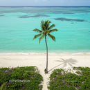 Lonely Traveler on a Tropical Beach Under a Palm Tree