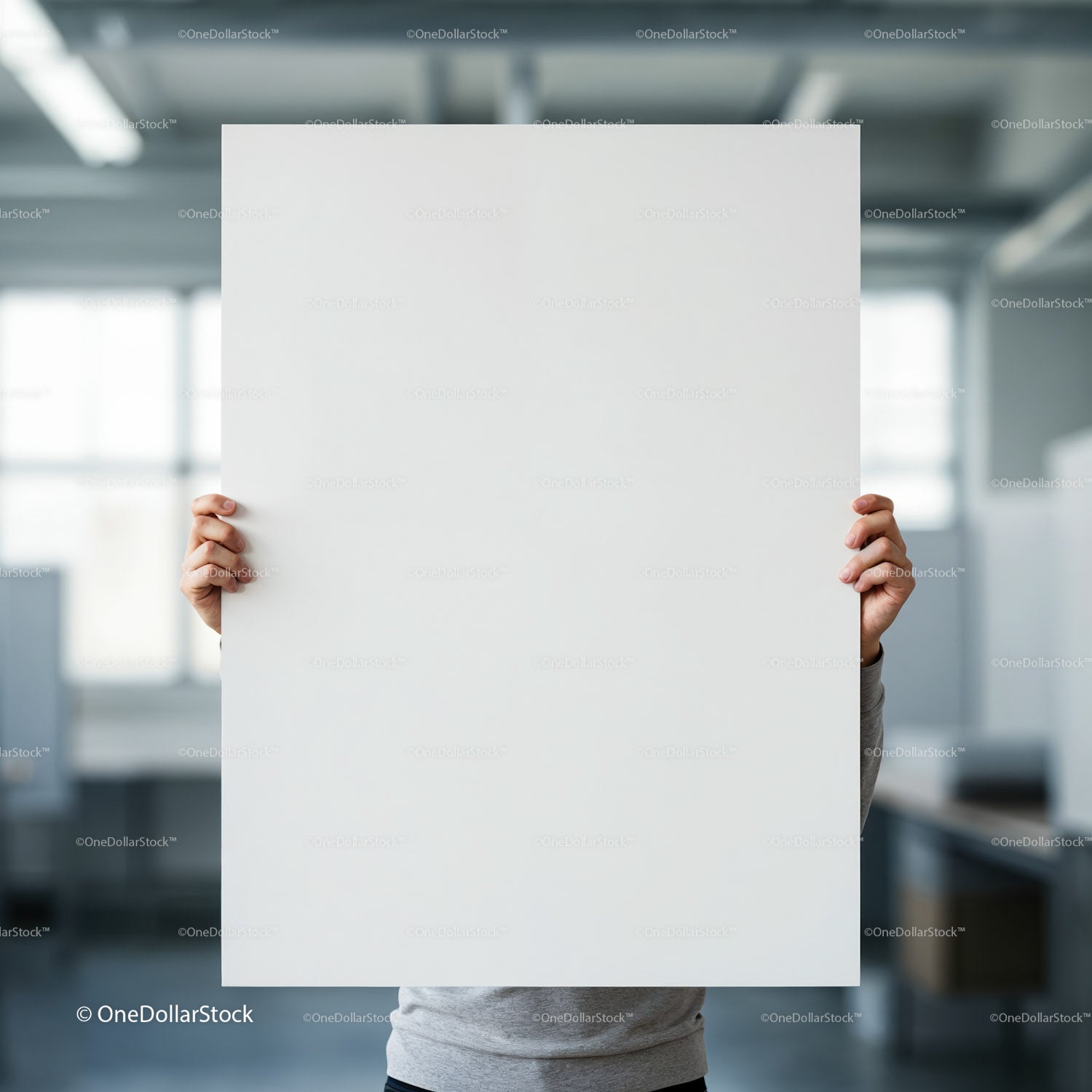 Person Holding Large Blank White Poster in Office Space