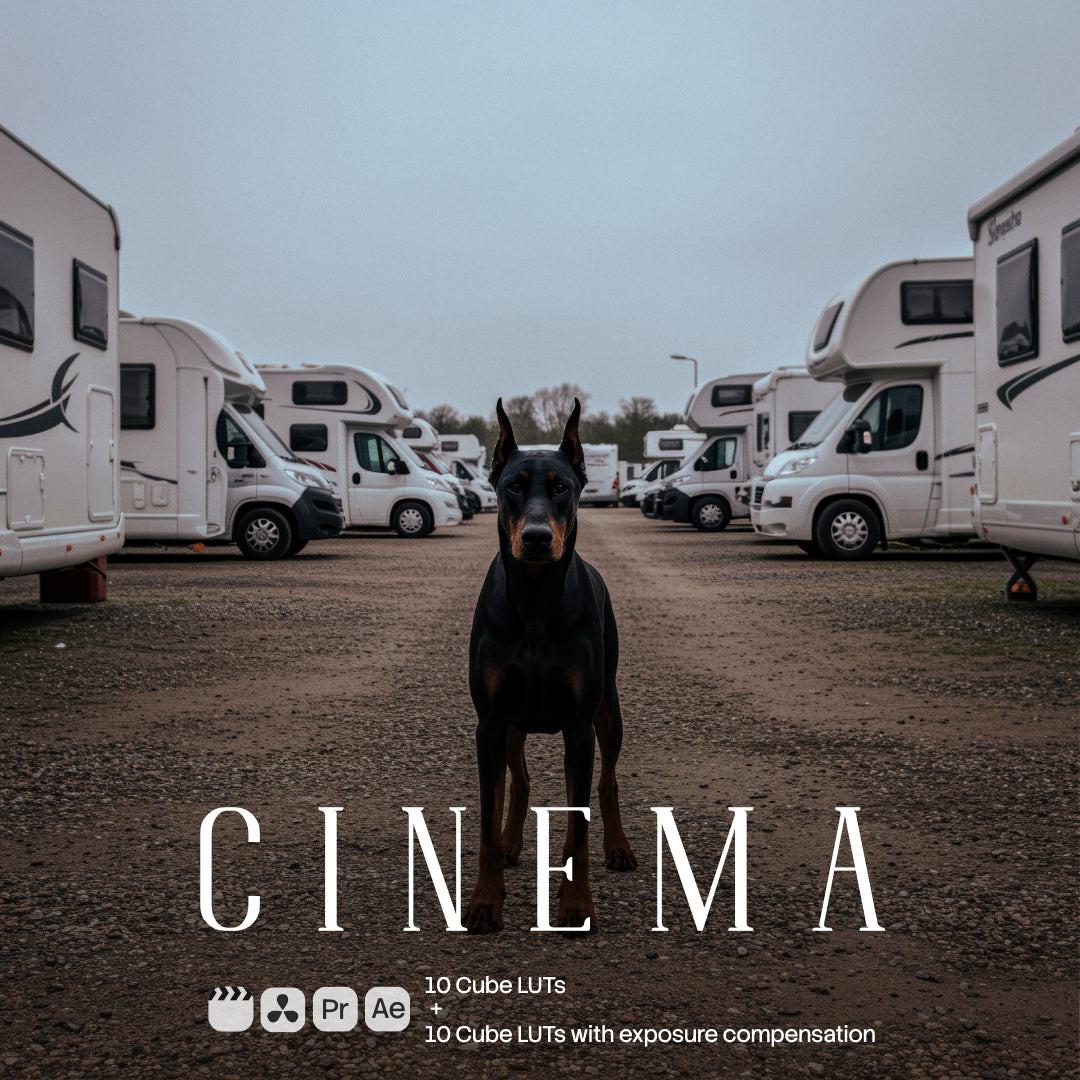 Cinema LUT Pack preview