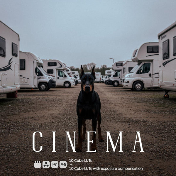 Cinema (20 LUTs)