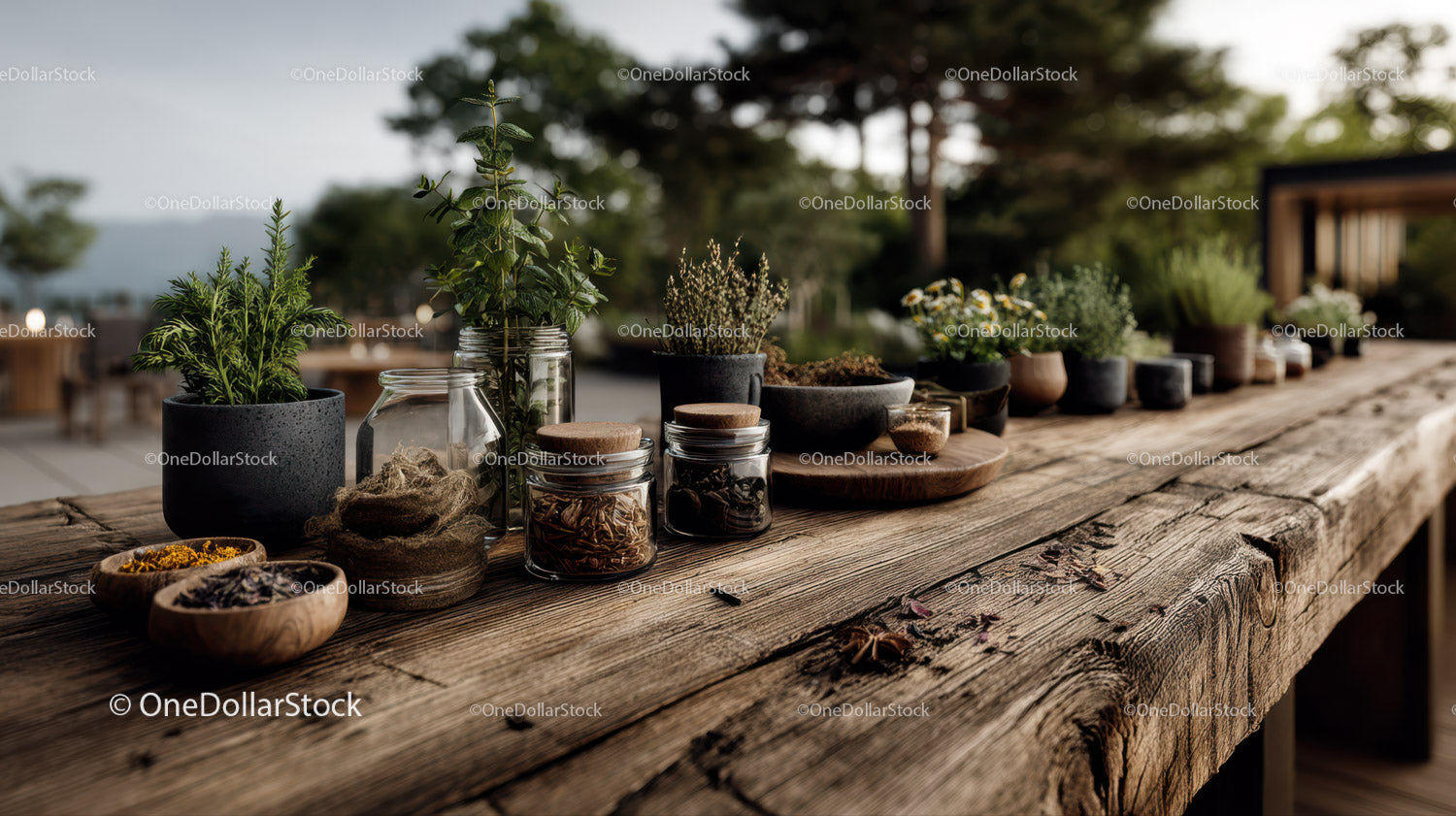 Herb Garden with Potted Plants and Natural Wooden Table
