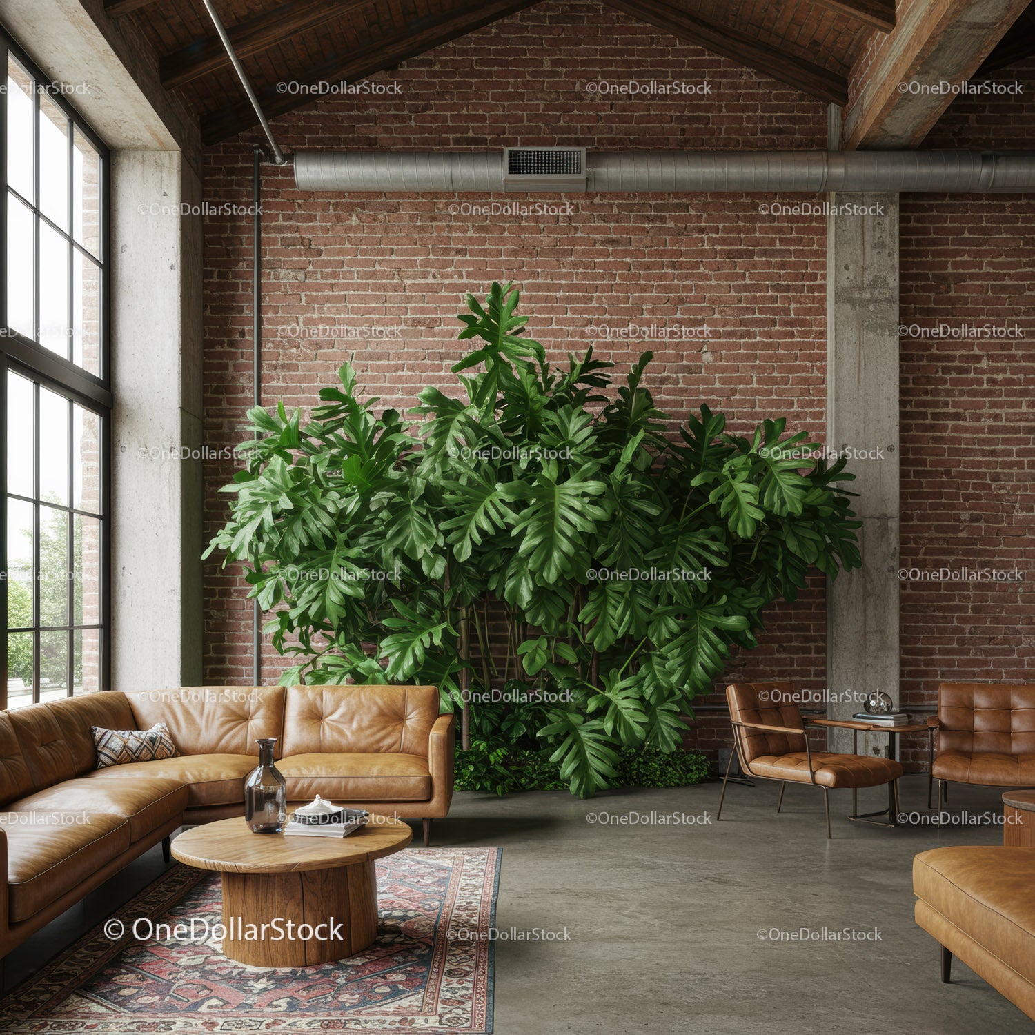 Indoor Lounge with Large Green Monstera and Cozy Leather Sofas