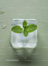 Fresh mint leaf frozen inside clear ice cube