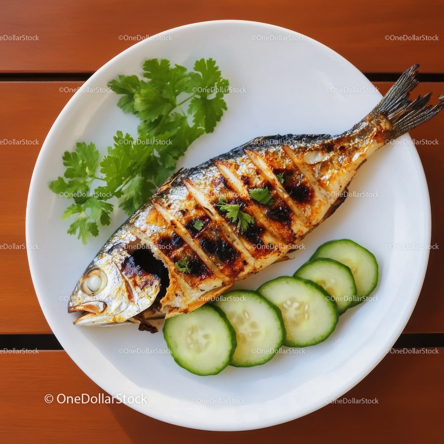 Grilled Fish with Cucumber Slices and Fresh Herbs on White Plate