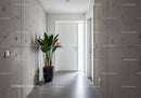 Modern Minimalist Entryway with Concrete Walls and Indoor Plant