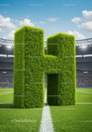 Large Grass Letter H on Soccer Field in Stadium