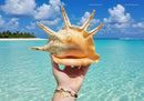 Beautiful Tropical Beach Scene with Conch Shell and Blue Sky