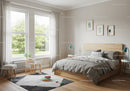 Minimalist Bedroom with Large Windows and Cozy Natural Light