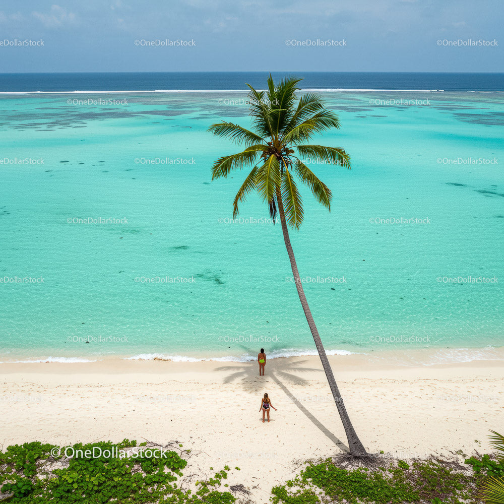 Lonely Traveler on a Tropical Beach Under a Palm Tree