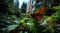 Vibrant Orange and Black Butterfly Resting on Green Tropical Leaves
