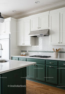 Contemporary Kitchen With White Cabinets Green Lower Cabinets and Stainless Steel Range Hood