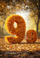 Autumn Numbers 9 and 9 Made of Orange Leaves