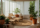 Cozy sunlit lounge with rattan furniture and lush plants