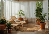Cozy sunlit lounge with rattan furniture and lush plants