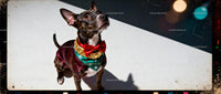 Small dog wearing festive scarf and red bow tie