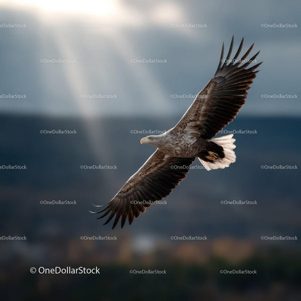 Majestic Bird of Prey in Flight Over Mountain Range