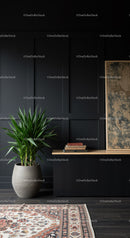 Modern Interior with Black Wall Panels and Green Houseplant