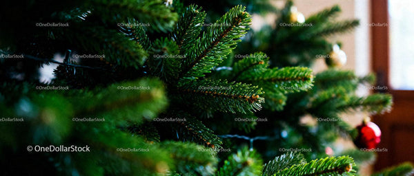 Close-up of festive green pine branches with ornaments