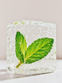 Fresh green mint leaf frozen inside ice cube