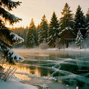 Frozen lake surrounded by snow-covered pine trees at sunset