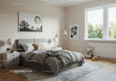 Bright Modern Bedroom with Cozy Bed and Natural Light