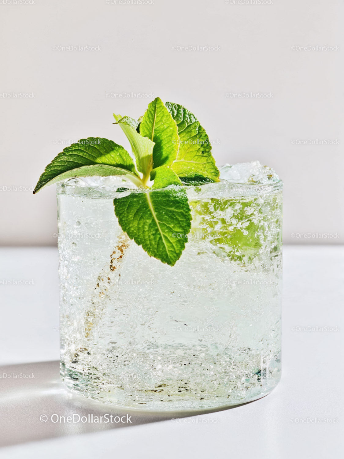 Refreshing sparkling water with fresh green mint leaves