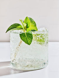 Refreshing sparkling water with fresh green mint leaves