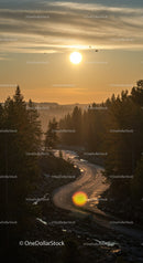 Winding forest river glowing under warm sunset light