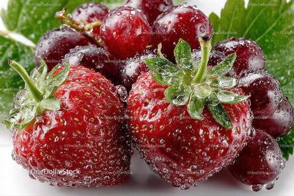 Close-up of Juicy Ripe Strawberries with Dew Drops