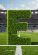 Green Grass Letter E Standing on Soccer Field