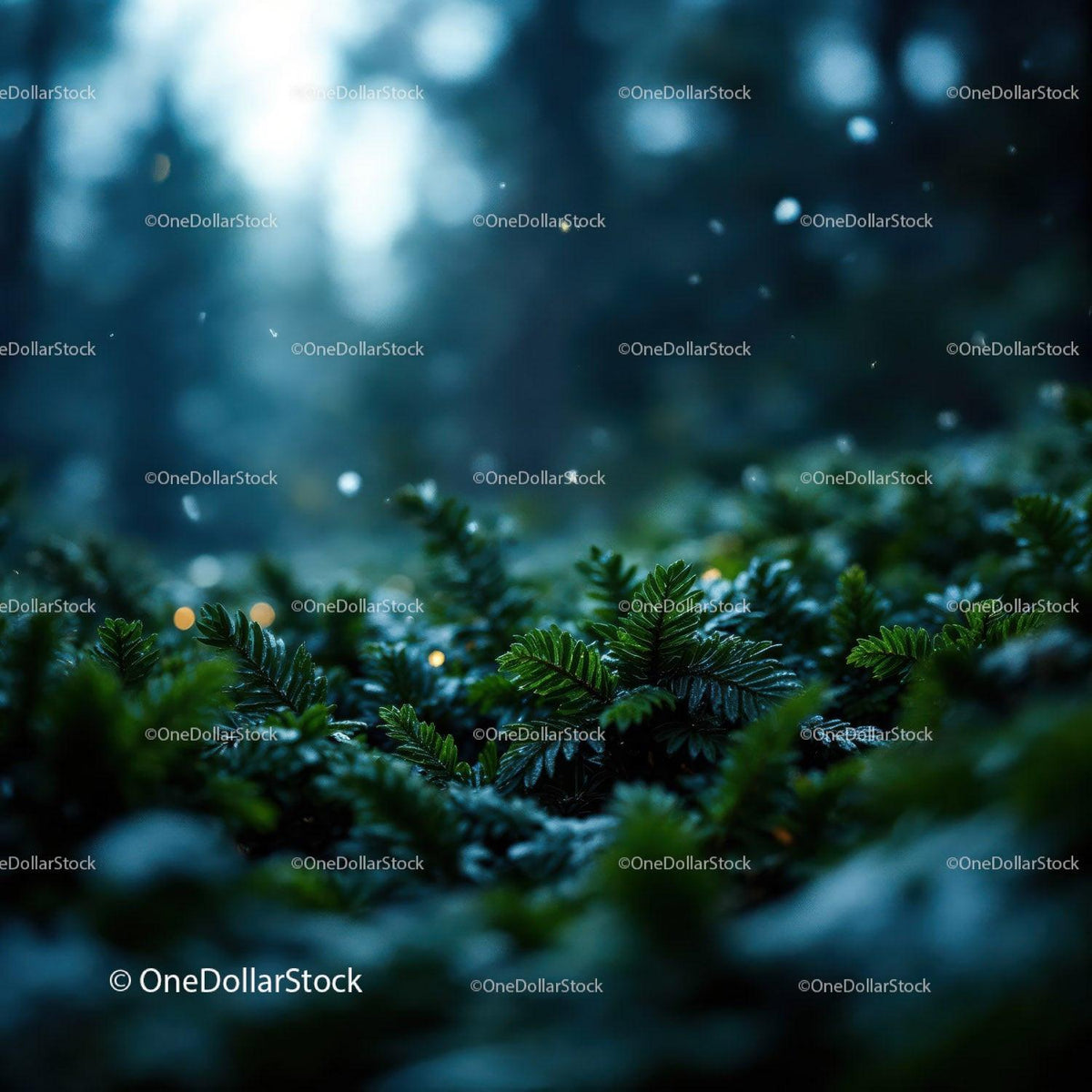 Close-up of green fern leaves in mystical forest light