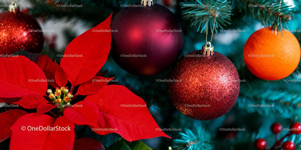 Festive Christmas Tree with Poinsettia and Ornaments