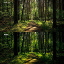 Before and after Forest Glow Dark Lightroom preset edit