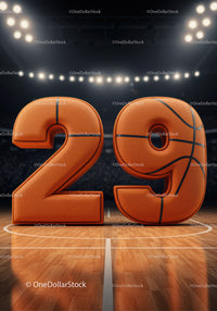 Basketball Styled Number Twenty Nine on Court Floor