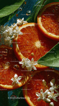 Bright Blood Orange Slices with White Blossoms in Water
