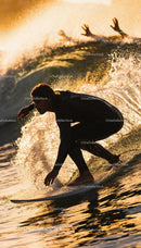 Surfer carving a wave at golden hour in wetsuit