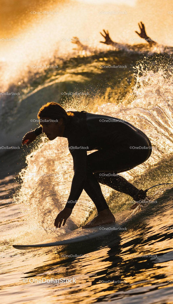 Surfer carving a wave at golden hour in wetsuit
