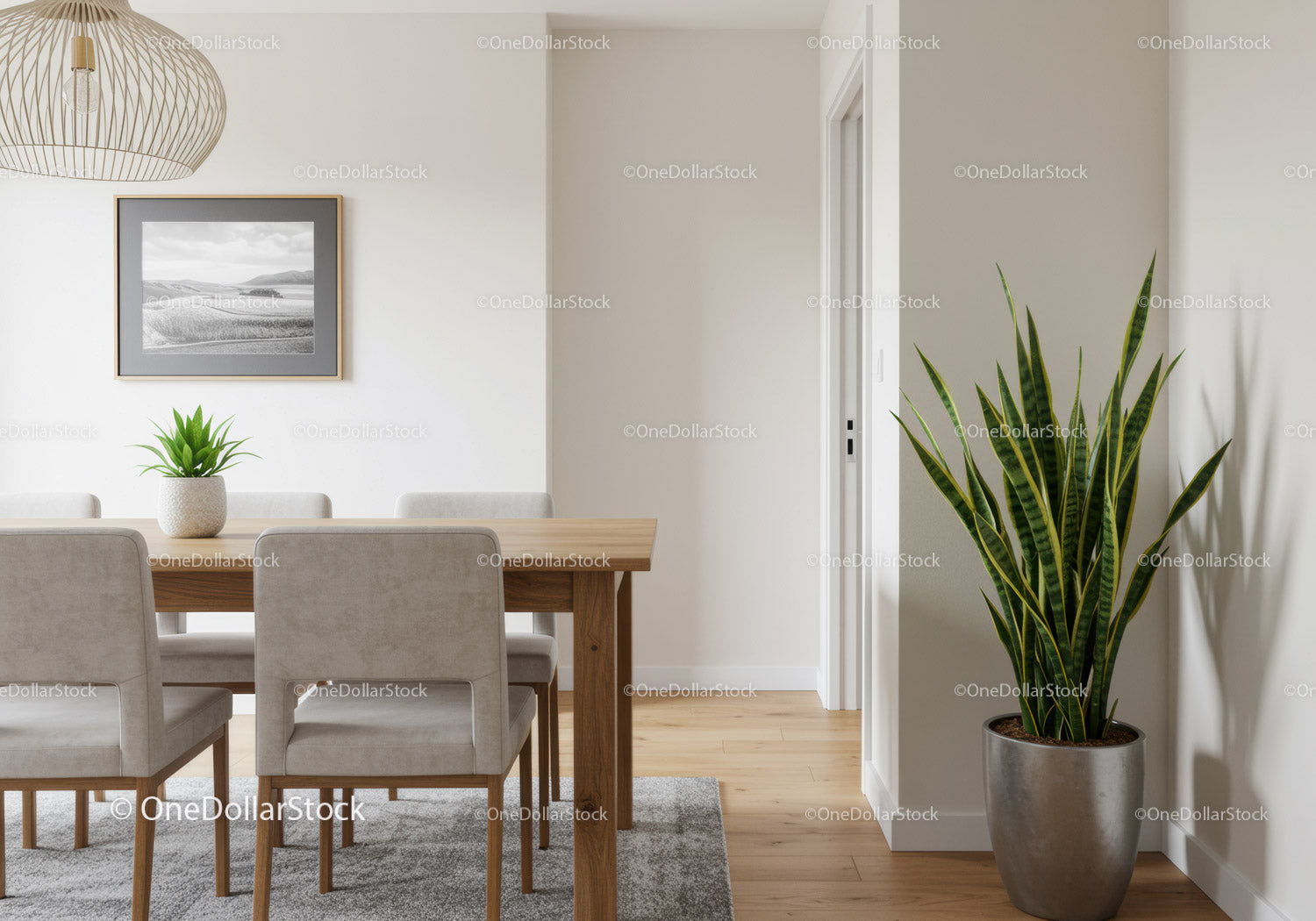 Contemporary Dining Room with Houseplant and Minimalist Decor