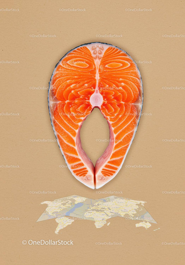 Fresh salmon steak on beige background with map below