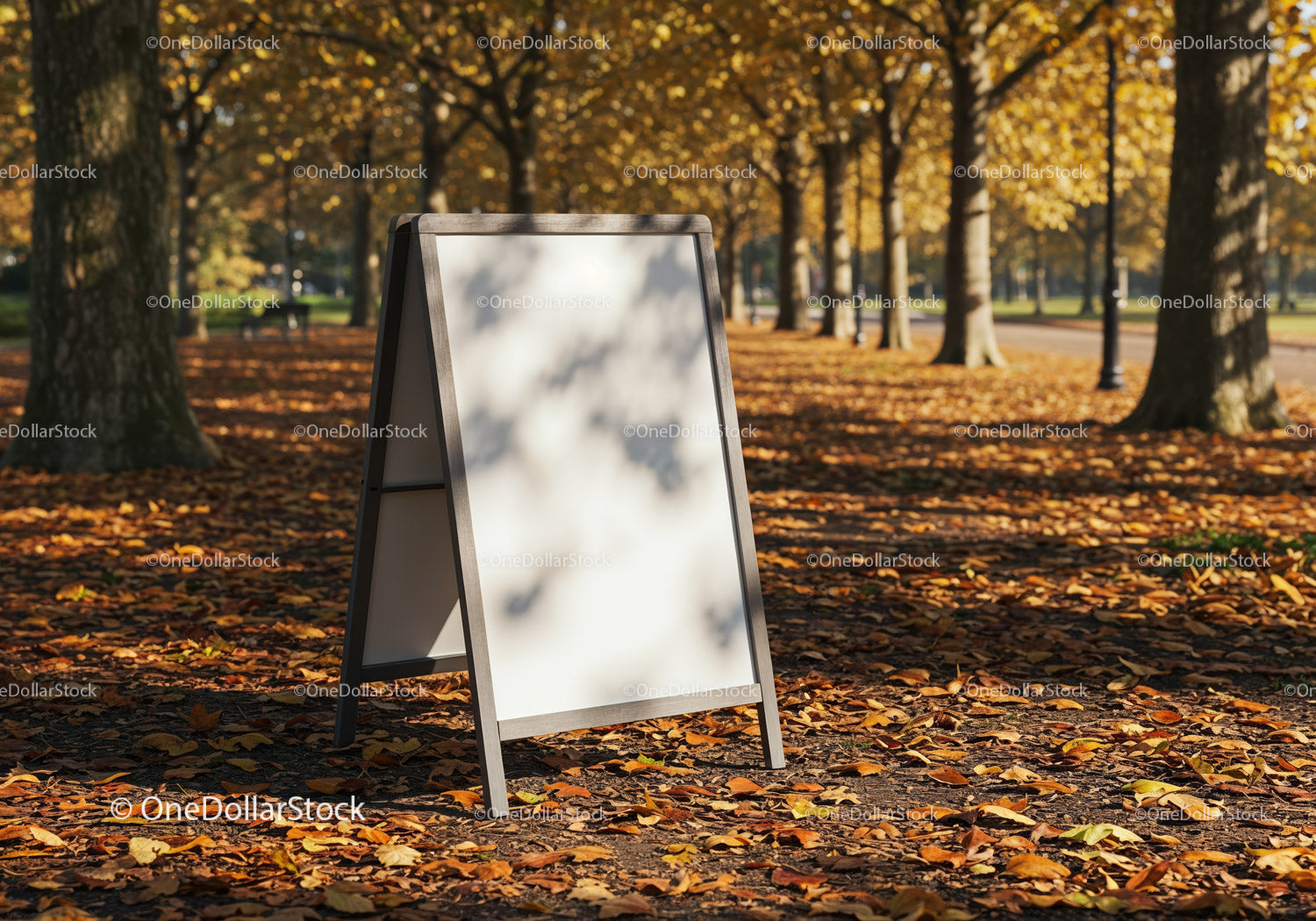 Blank signboard on leafy path in autumn park