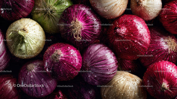 Colorful assortment of fresh onions with water droplets for culinary use