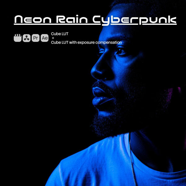 Neon Rain Cyberpunk (2 LUTs)