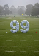 Golf Course Hole Number Ninety Nine Display